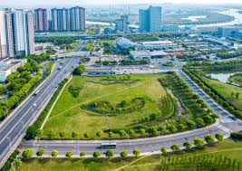 FIFA2026官方网站入口 宜兴常州绿化树苗批发市场